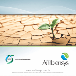 anos Gerenciando Inova&ccedil;&otilde;es