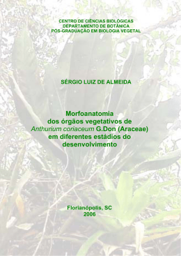 Laborat&oacute;rio de Anatomia Vegetal - Universidade Federal de Santa