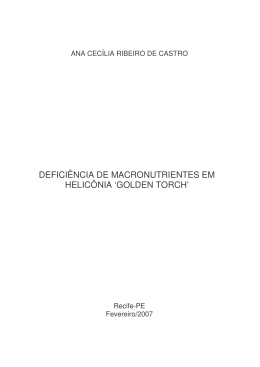 Defici&ecirc;ncias de Macronutrientes em helic&ocirc;nia `Golden Torch`