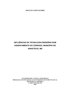 influ&ecirc;ncias da tecnologia moderna num assentamento do