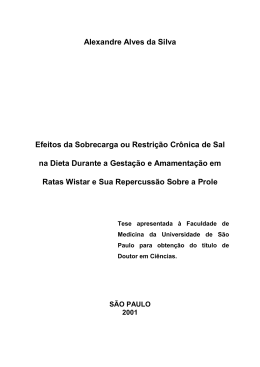 Alexandre Alves da Silva - Universidade de S&atilde;o Paulo