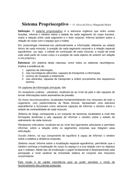 Sistema Proprioceptivo &ndash; O. Alves da Silva e Margarida Heitor