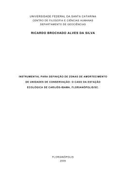RICARDO BROCHADO ALVES DA SILVA