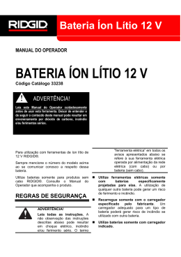 BATERIA ÍON LÍTIO 12 V
