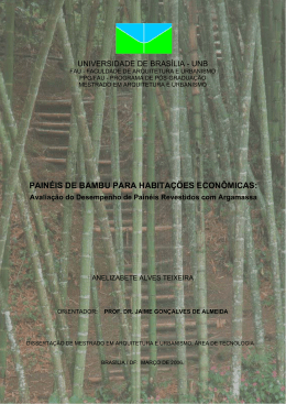2006_Anelizabete Alves Teixeira
