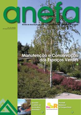 Revista 9