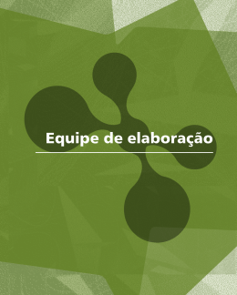 Equipe de elabora&ccedil;&atilde;o