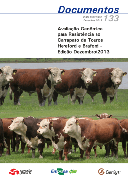 Edi&ccedil;&atilde;o Dezembro/2013 - Ainfo