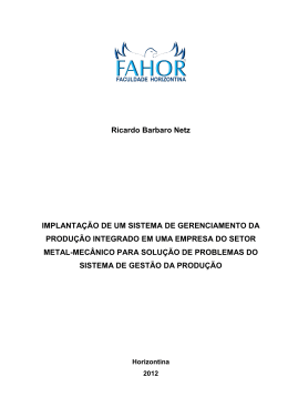 Ricardo Barbaro Netz IMPLANTA&Ccedil;&Atilde;O DE UM SISTEMA
