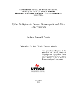 000545530 - Reposit&oacute;rio Institucional da UFRGS