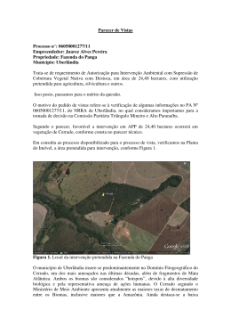 Parecer de Vistas - Governo de Minas Gerais