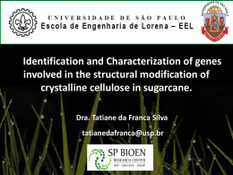 Identification and Characterization of genes involved in the