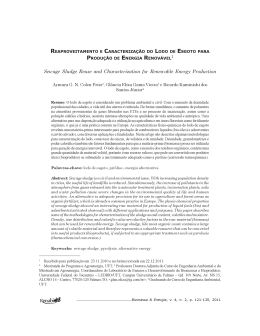 Sewage Sludge Reuse and Characterization for