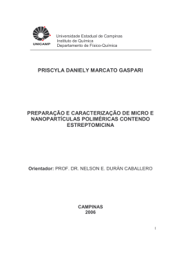 priscyla daniely marcato gaspari prepara&ccedil;&atilde;o e caracteriza&ccedil;&atilde;o de