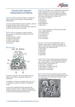 Exerc&iacute;cios sobre Organelas Citoplasm&aacute;ticas com