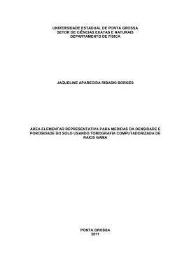 determina&ccedil;&atilde;o da &aacute;rea elementar representativa para medidas da