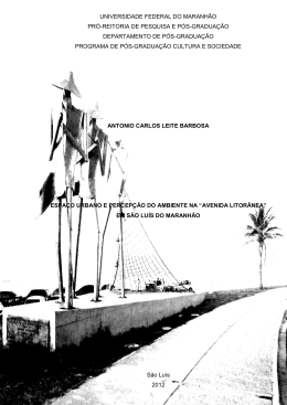 espa&ccedil;o urbano e percep&ccedil;&atilde;o do ambiente na &ldquo;avenida litor&acirc;nea&rdquo;