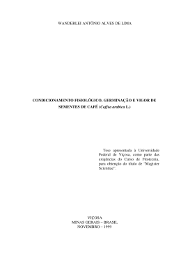 WANDERLEI ANT&Ocirc;NIO ALVES DE LIMA