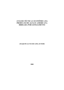 DISSERTA&Ccedil;&Atilde;O_An&aacute;lise t&eacute;cnica e econ&ocirc;mica da produ&ccedil;&atilde;o