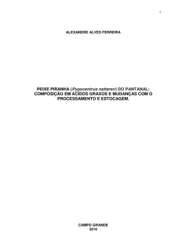 Alexandre Alves Ferreira