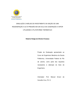 SIMULA&Ccedil;&Atilde;O E AN&Aacute;LISE DE INVESTIMENTO DA ADI&Ccedil;&Atilde;O DE UMA