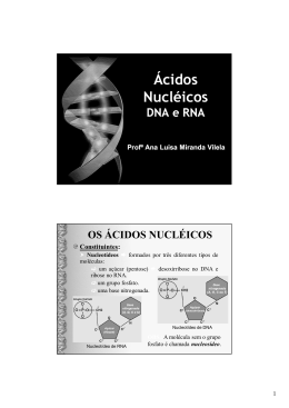 &Aacute;cidos Nucl&eacute;icos