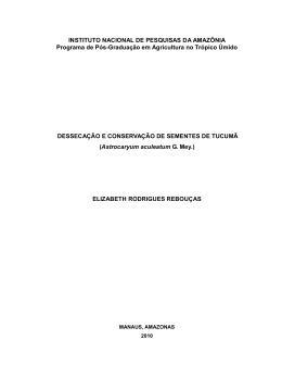 INSTITUTO NACIONAL DE PESQUISAS DA AMAZ&Ocirc;NIA Programa