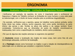 Ergonomia 3