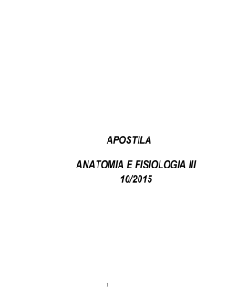 APOSTILA ANATOMIA E FISIOLOGIA III 10/2015