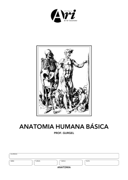 ANATOMIA HUMANA BÁSICA - Colégio Ari de Sá Cavalcante
