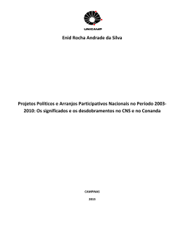 Enid Rocha Andrade da Silva Projetos Políticos e Arranjos