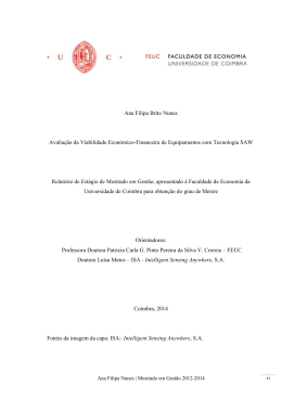 Ana Filipa Brito Nunes Avalia&ccedil;&atilde;o da Viabilidade