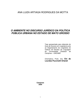 ANA LUIZA ARTIAGA RODRIGUES DA MOTTA O
