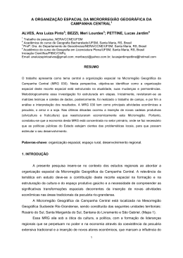 A ORGANIZA&Ccedil;&Atilde;O ESPACIAL DA MICRORREGI&Atilde;O