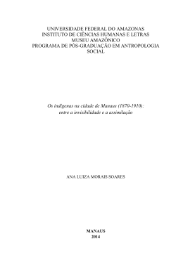 Ana Luiza M Soares - TEDE