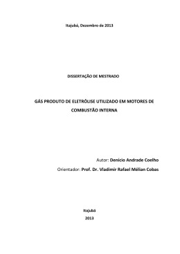 Denicio A Coelho - Dissertacao mestrado - GPE utilizado em