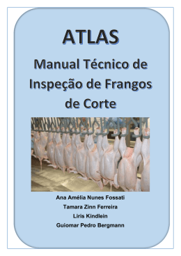 Ana Am&eacute;lia Nunes Fossati Tamara Zinn Ferreira Liris