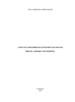ana carolina lopes olsen a efic&aacute;cia dos direitos