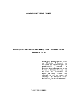 ANA CAROLINA VICENZI FRANCO AVALIA&Ccedil;&Atilde;O DE - Faed