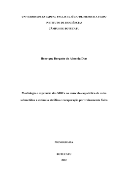 Henrique Borgatto de Almeida Dias Morfologia e express&atilde;o dos