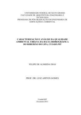 Disserta&ccedil;&atilde;o