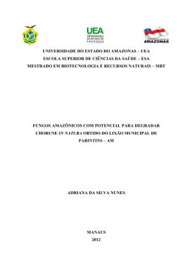 Adriana da Silva Nunes - uea