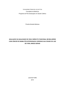 Disserta&ccedil;&atilde;o - Universidade Federal de Juiz de Fora