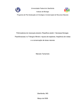 Polinizadores do maracuj&aacute;-amarelo (Passiflora edulis f