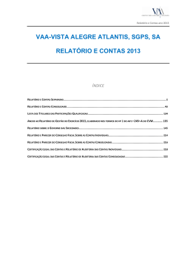 VAA SGPS ano 2013