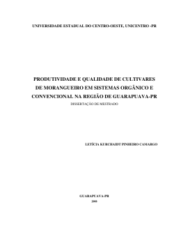Disserta&ccedil;&atilde;o em PDF