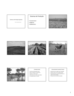 (Microsoft PowerPoint - AULA 6 Sistemas de Produ\347\343o)
