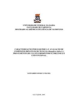 Leonardo Fonseca Maciel - RI UFBA