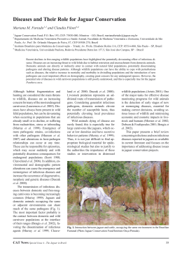 Diseases and Their Role for Jaguar Conservation
