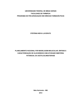 D - Biblioteca Digital de Teses e Dissertações da UFMG